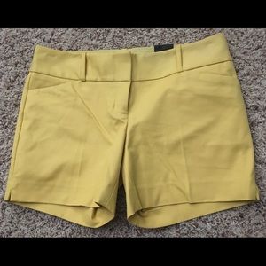 Yellow/gold tailored short 5” Inseam